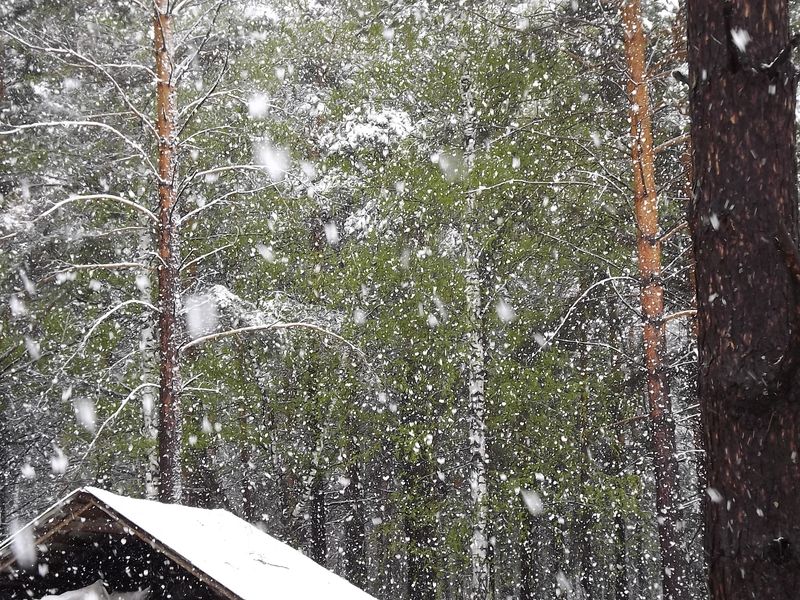 DSCF16593.jpg