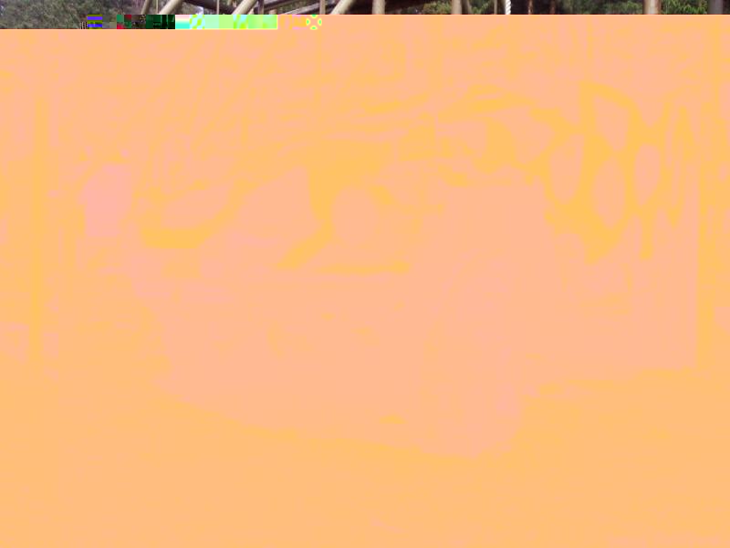 32180.jpg