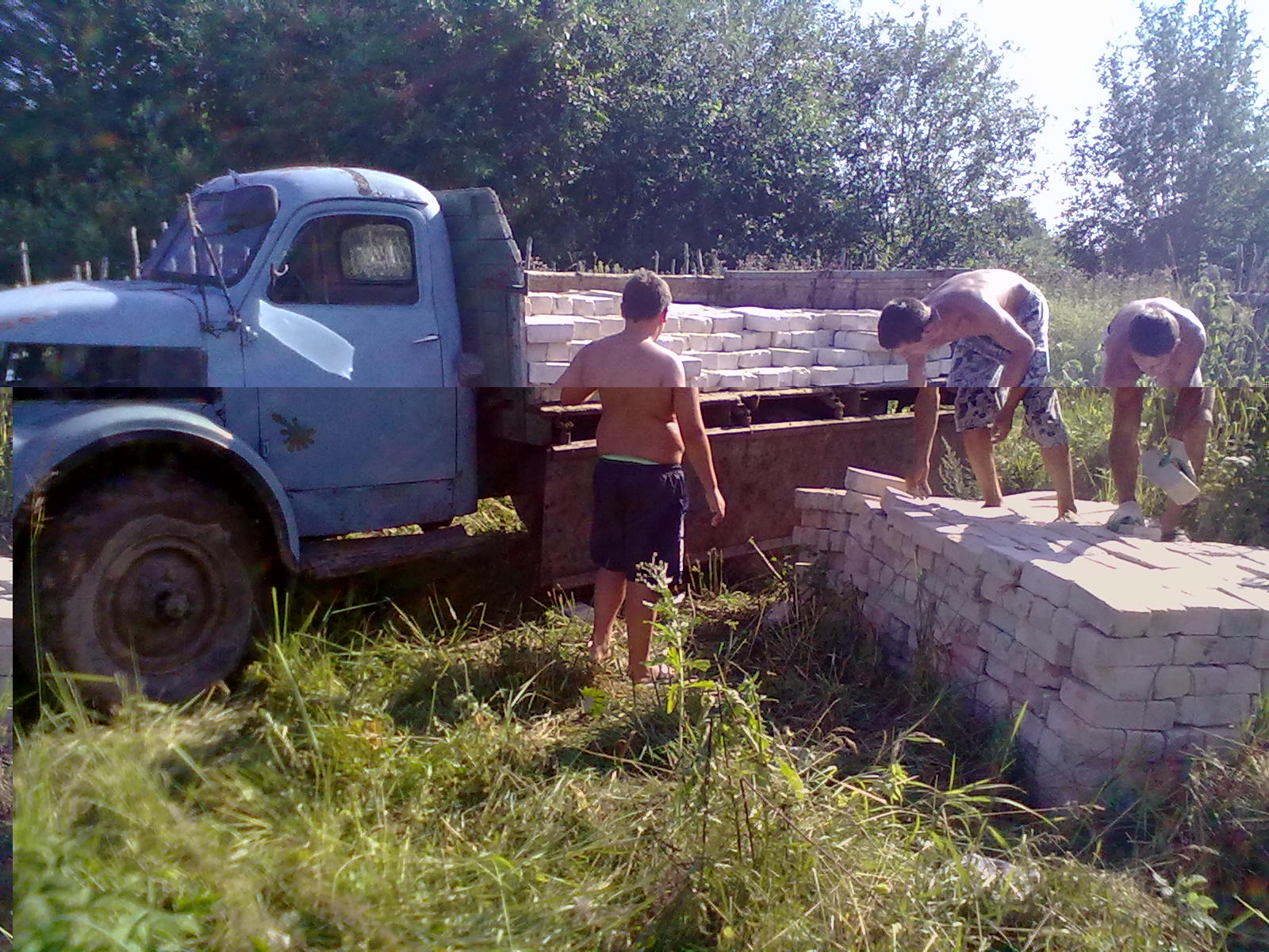 МозГ148.jpg